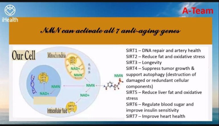 NMN Supplement can activate 7 Anti-aging Genes