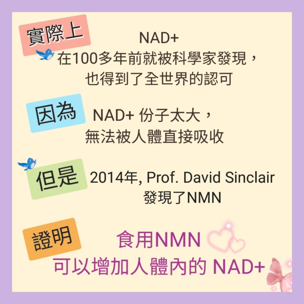 Relationship between NMN and NAD+